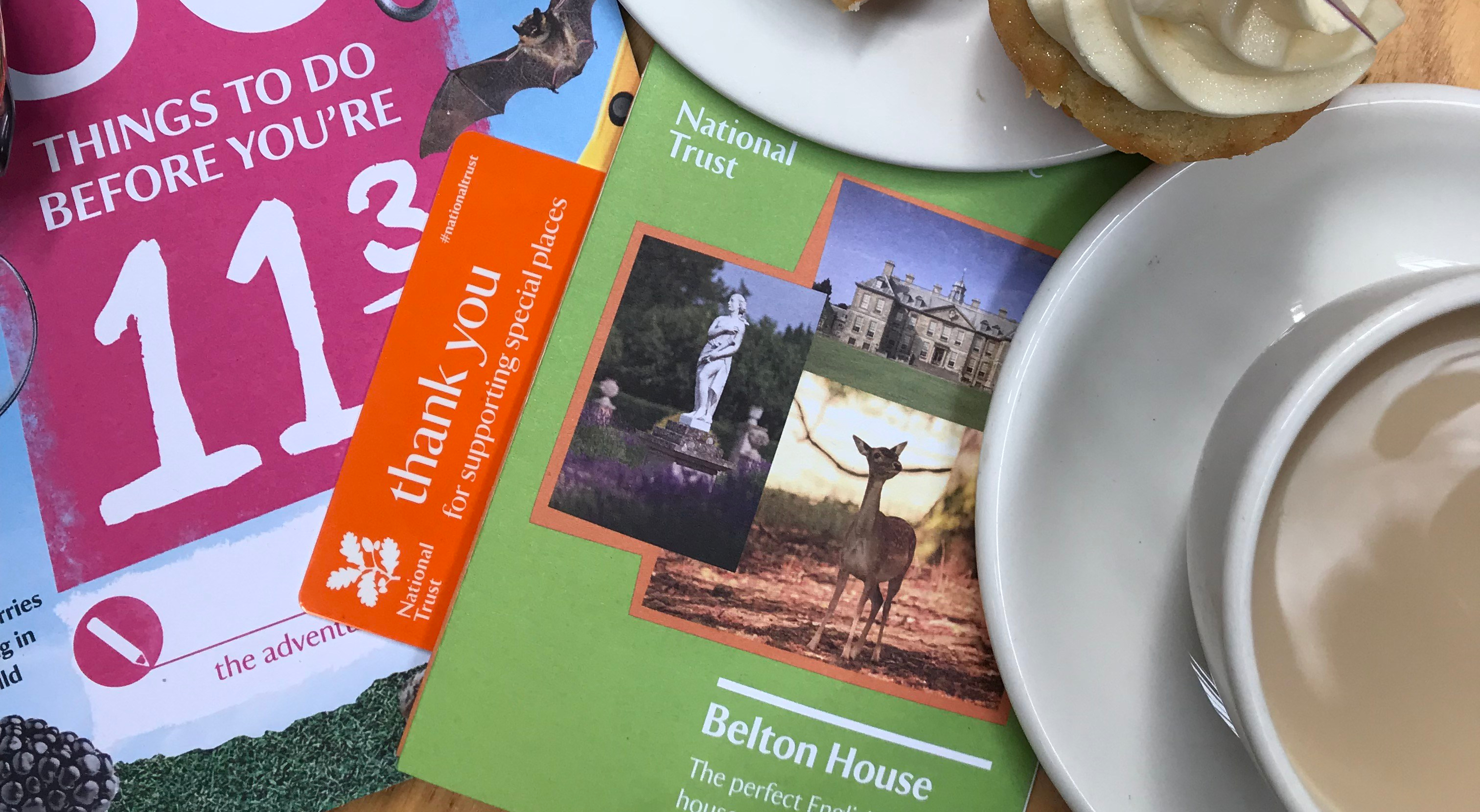 Belton House Visit Thank You To The Girl In The Green T -Shirt