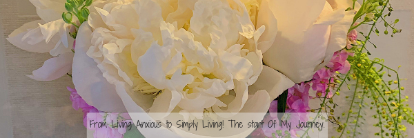 From Living Anxious to Simply Living! The start Of My Journey.