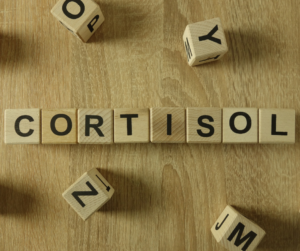 building blocks spelling cortisol